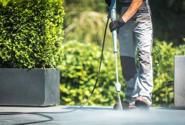 Best Boat and Dock Cleaning  in Forsyth, IL