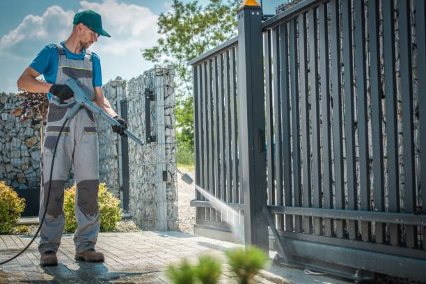 Best Solar Panel Cleaning  in Forsyth, IL