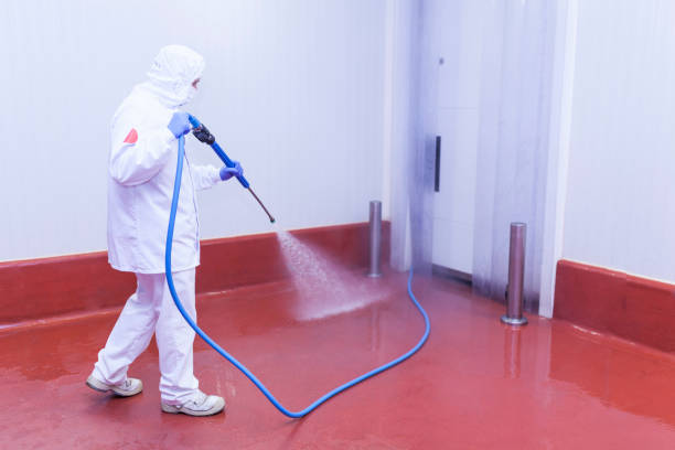Best Winterizing Services  in Forsyth, IL